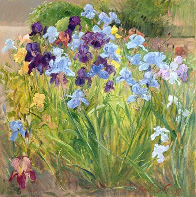 Il letto di iris, Bedfield, 1996 da Timothy Easton